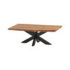 Salontafel 120