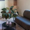 Salontafel Lance M - Afbeelding 5