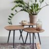 Coffee Table Cuties (Set Of 3) - Afbeelding 6