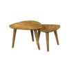 Salontafel set van 2 Omaha - Afbeelding 7