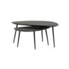 Salontafel - set van 2, organisch, Black