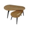 Salontafels Zurich - 95x52x46 - Naturel/zwart - Acaciahout/ijzer - Set van 2 - Afbeelding 2