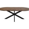 Eettafel Verona ovaal - 220x110x76 - naturel - Mangohout/metaal - Afbeelding 2