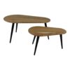 Salontafels Zurich - 95x52x46 - Naturel/zwart - Acaciahout/ijzer - Set van 2 - Afbeelding 3