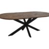 Eettafel Verona ovaal - 220x110x76 - naturel - Mangohout/metaal - Afbeelding 3
