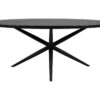 HSM Collection-Ovale Eettafel Zurich-180x100x76-Zwart-Acacia/Metaal