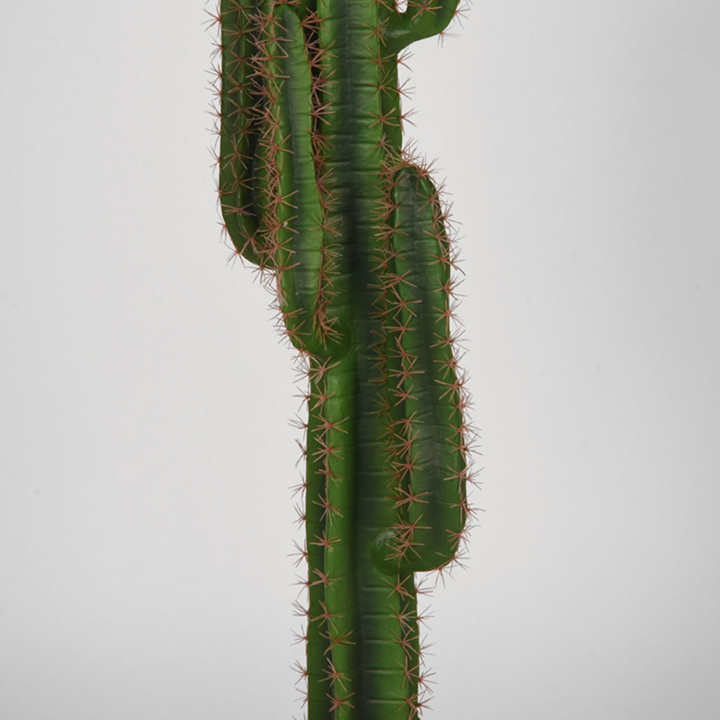 LABEL51 Cactus - Groen - Kunststof - 130 cm - Afbeelding 3