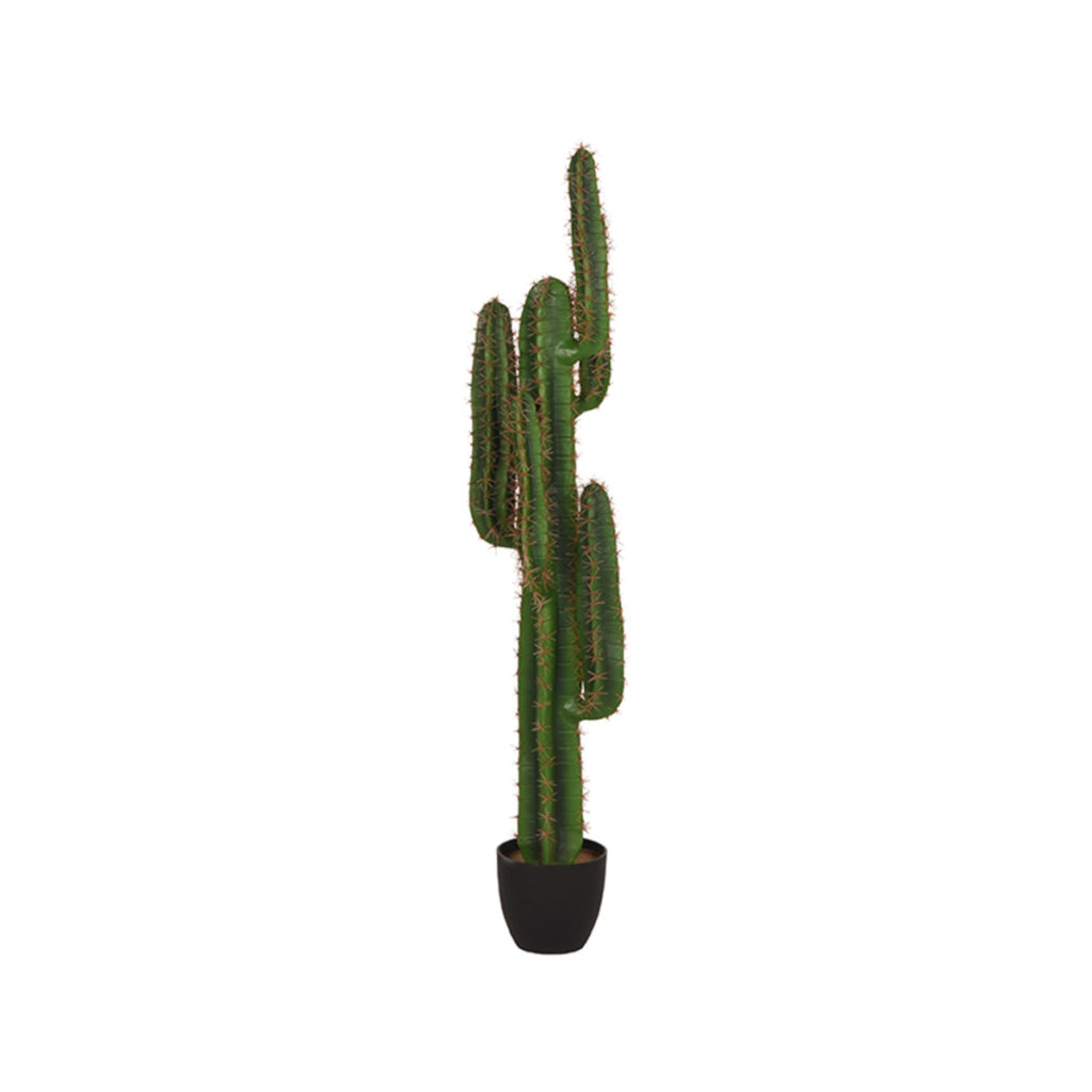 LABEL51 Cactus - Groen - Kunststof - 130 cm - Afbeelding 2