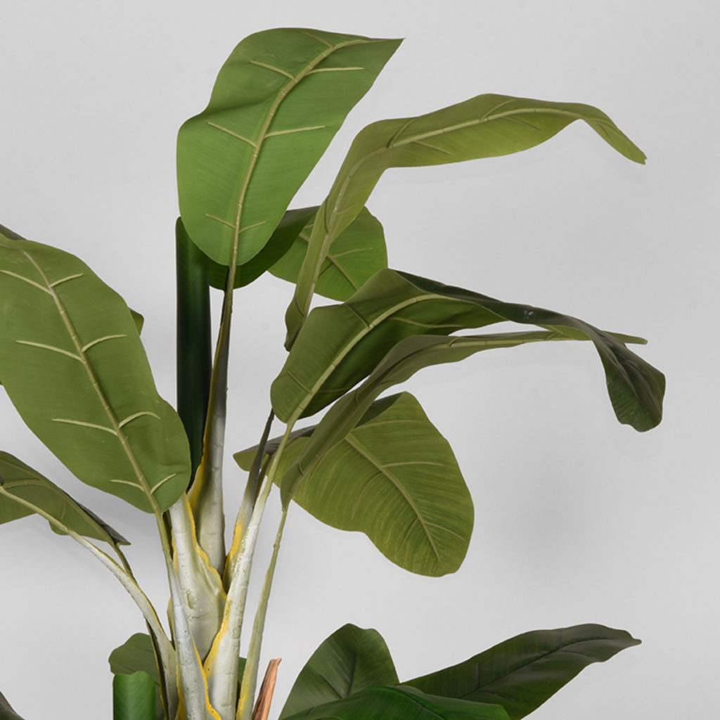 LABEL51 Musa - Groen - Kunststof - 180 cm - Afbeelding 3