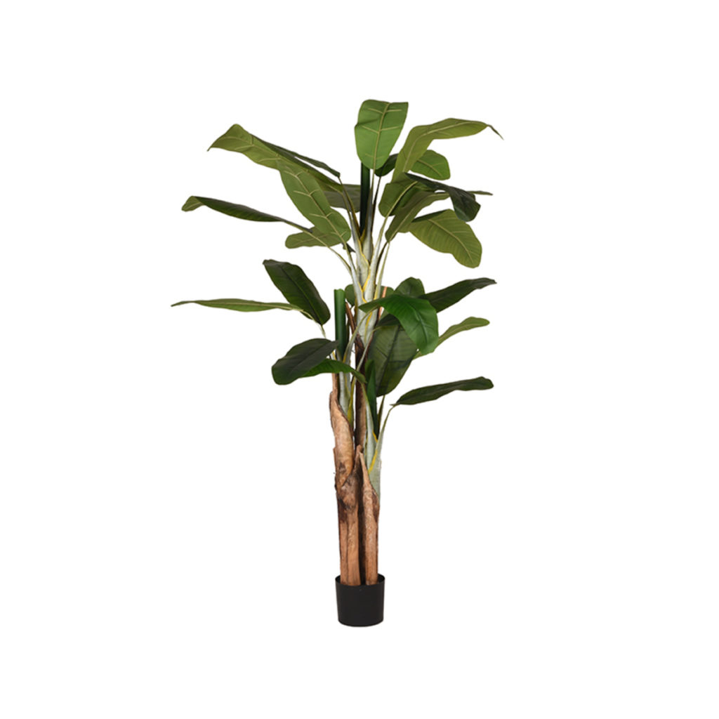 LABEL51 Musa - Groen - Kunststof - 180 cm - Afbeelding 2