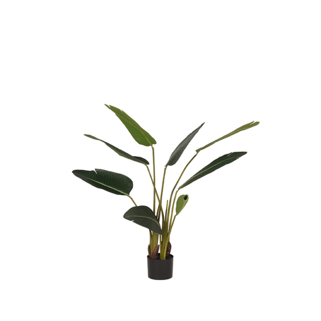 LABEL51 Strelitzia - Groen - Kunststof - 100 cm - Afbeelding 2