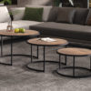 Salontafel 'Lennox' 3-delig Mango hout (1c)