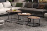Salontafel 'Lennox' 3-delig Mango hout (1c)