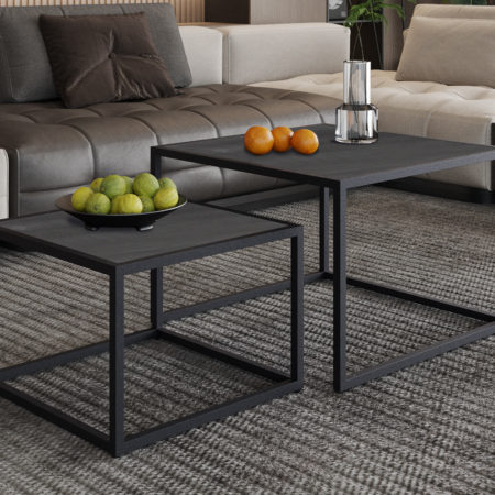 Salontafel 'Quinn' 2-delig Mango hout Zwart (1c)