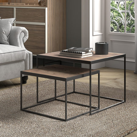 Salontafel 'Quinn' 2-delig Mango hout (1c)