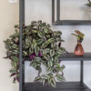 Vakkenkast Huub Zwart Mangohout 210 x 80 cm - Roomdivider - Afbeelding 3