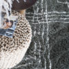 Vloerkleed Jim Green 200 x 280 cm - Afbeelding 4