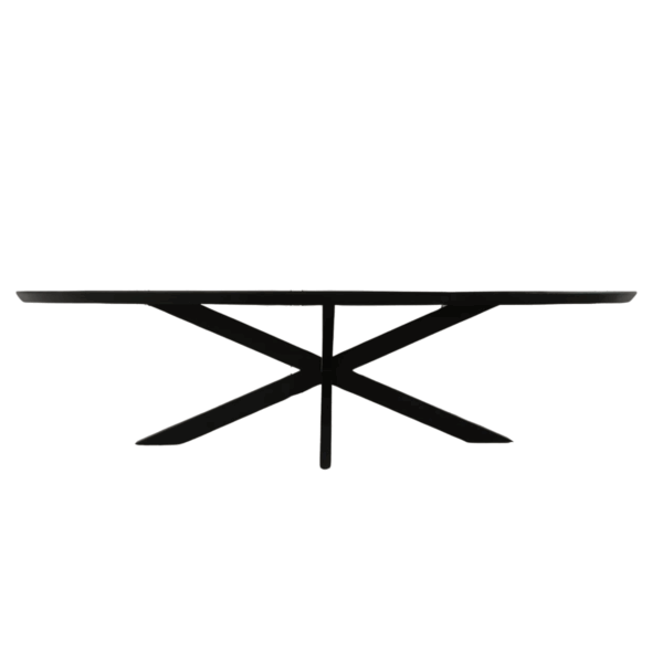 Eettafel Brandy Black | 300 cm | Ovaal - Afbeelding 3