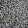 Vloerkleed Berbero Pelosa Grey 834 - ø160 cm - Afbeelding 3