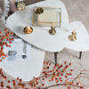 Salontafel Milou - Marmer - 55 cm - Afbeelding 2