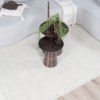 Vloerkleed Sol Beige 160 x 230 cm - Afbeelding 2