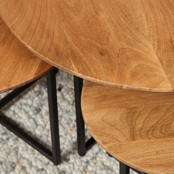 Salontafel RichWood | Set van 3 - Afbeelding 3