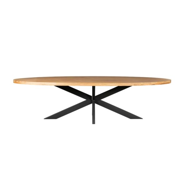 Eetkamertafel Denver | Ovaal | Mangohout | 300 cm - Afbeelding 2