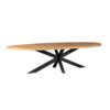 Eetkamertafel Denver | Ovaal | Mangohout | 300 cm - Afbeelding 3