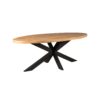Eetkamertafel Denver | Ovaal | Mangohout | 160 cm - Afbeelding 3