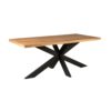 Eetkamertafel Denver | Rechthoek matrixpoot | 220 cm - Afbeelding 3