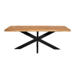 Boomstamtafel Denver | 300 cm