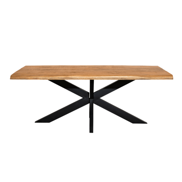 Boomstamtafel Denver | 200 cm
