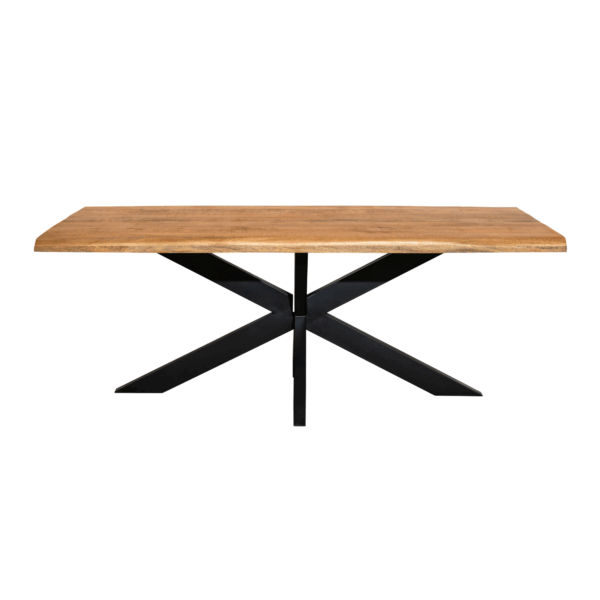 Boomstamtafel Denver | 300 cm - Afbeelding 2