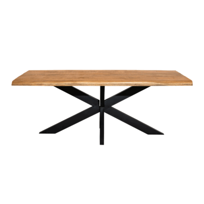 Boomstamtafel Denver | 300 cm