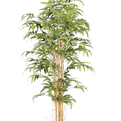 Bamboe Japanse kunstplant 180 cm