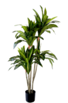 Kunstplant Dracaena Fragnans 150cm