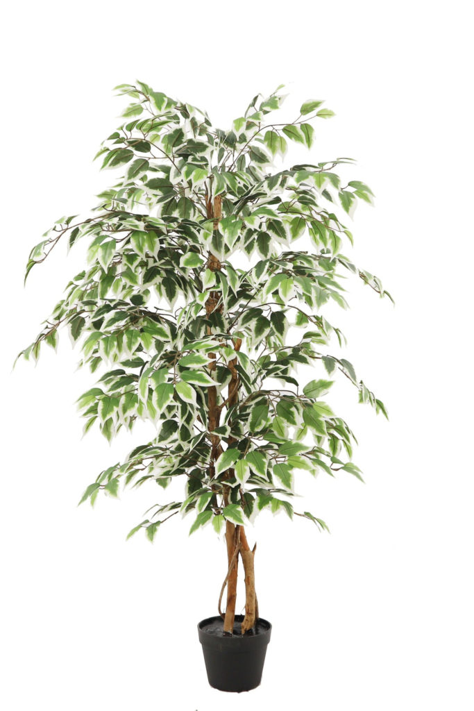 Kunstplant Ficus groen 140 cm