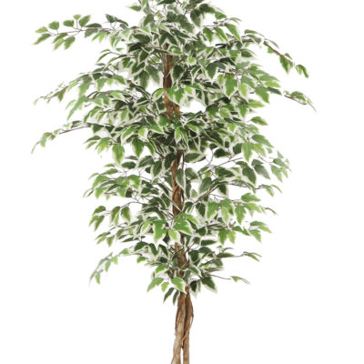 Kunstplant Ficus groen 160cm