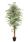 Kunstplant Ficus groen 180 cm
