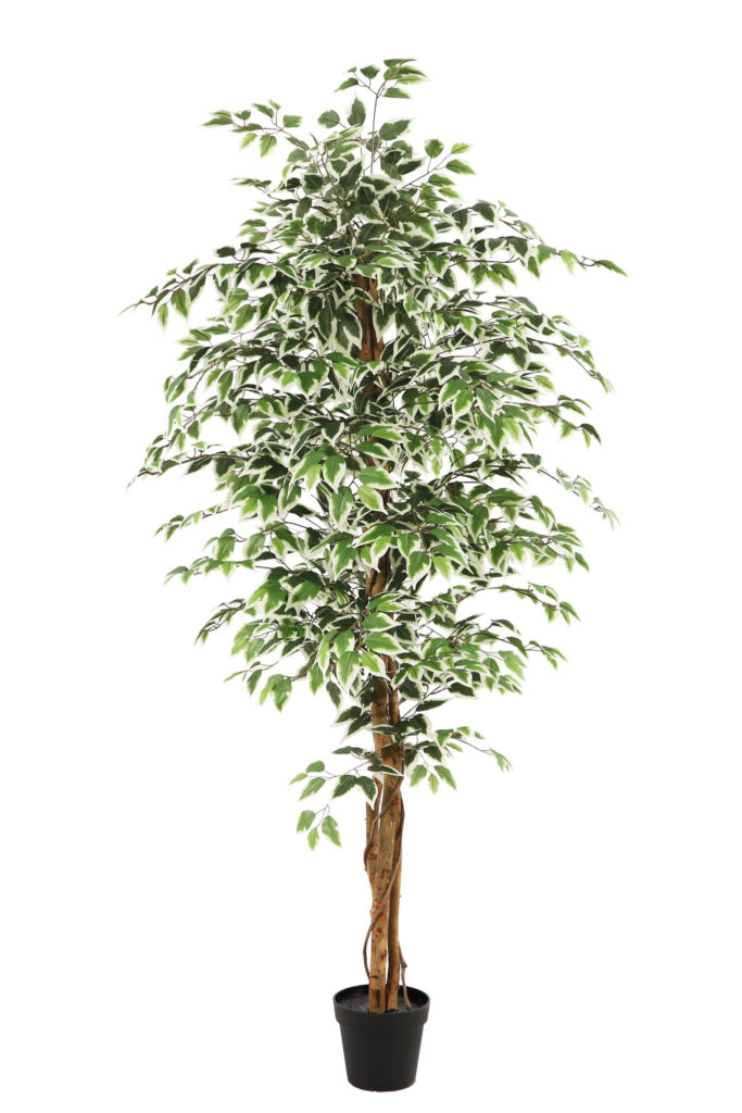 Kunstplant Ficus groen 180 cm