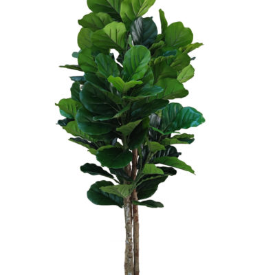 Ficus lyrata kunstplant 185 cm - Stijlvolle vioolbladplant