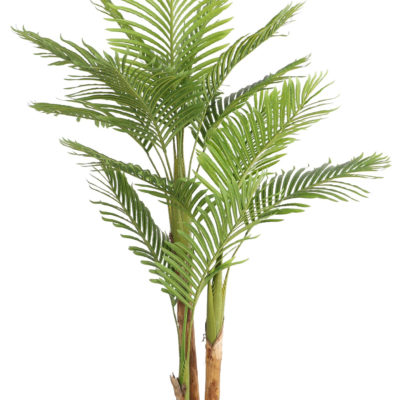 Kentia palm kunstplant 170 cm - Tropisch design voor binnen