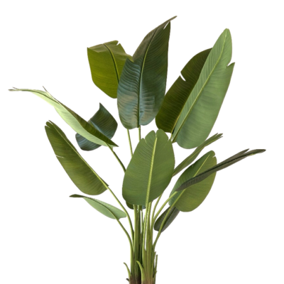 Kunstplant Strelitzia 150 cm, realistisch aanvoelend
