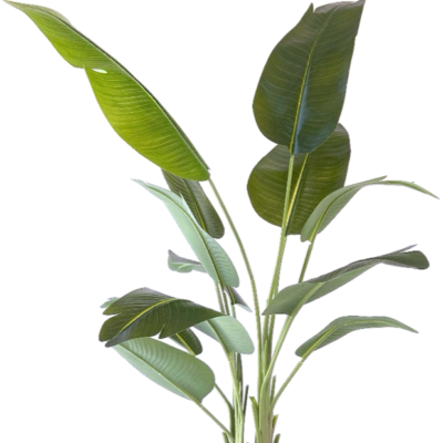 Kunstplant Strelitzia 200 cm realistisch aanvoelend