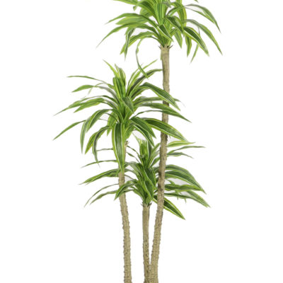 Kunstplant Yucca 170 cm - Robuuste uitstraling