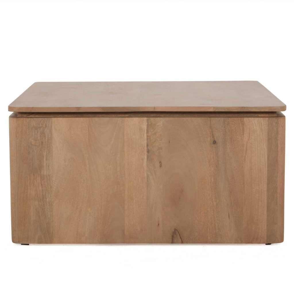 Vierkante Salontafel Dallas Naturel Mangohout 80 cm - Afbeelding 6