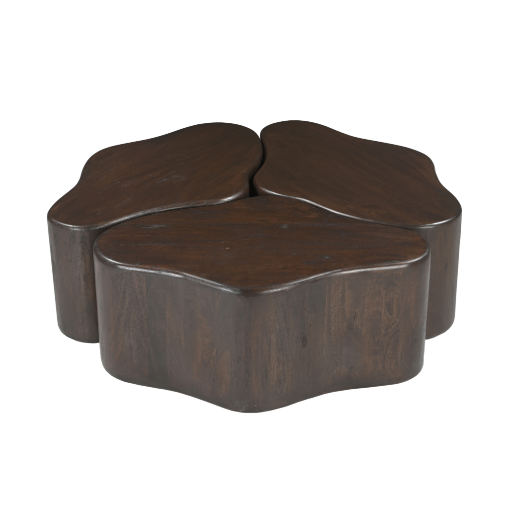 Salontafel Elara Mangohout Bruin 115 cm - Afbeelding 2