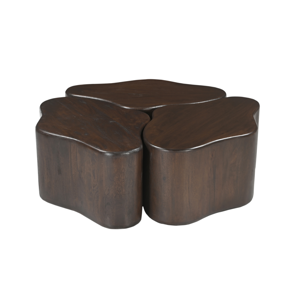 Salontafel Elara Mangohout Bruin 115 cm - Afbeelding 3