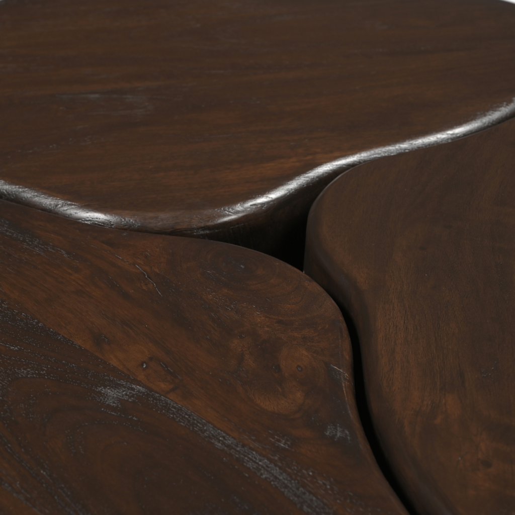 Salontafel Elara Mangohout Bruin 115 cm - Afbeelding 4